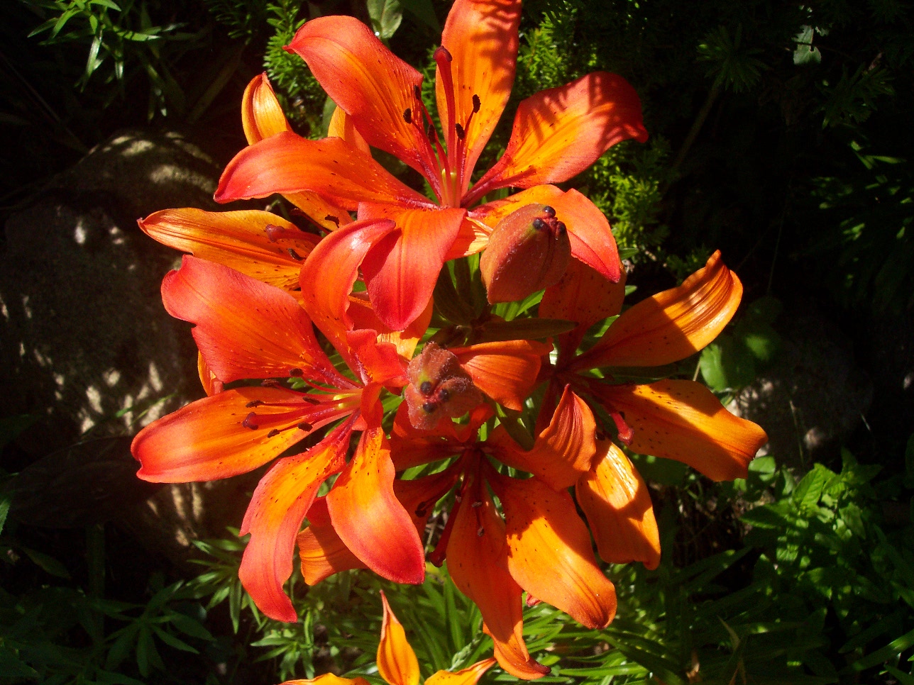 С добрым утром! 