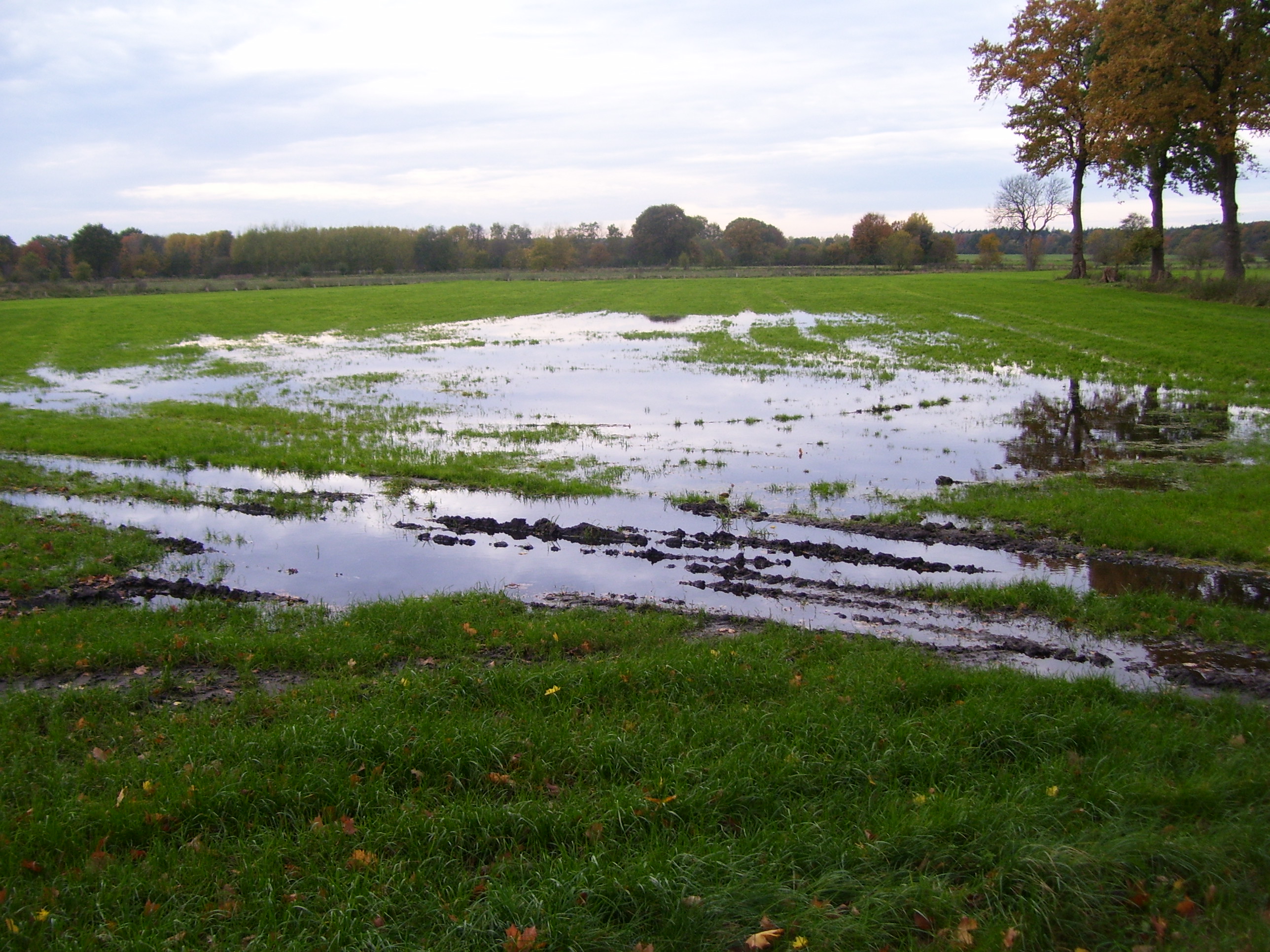 После дождей 